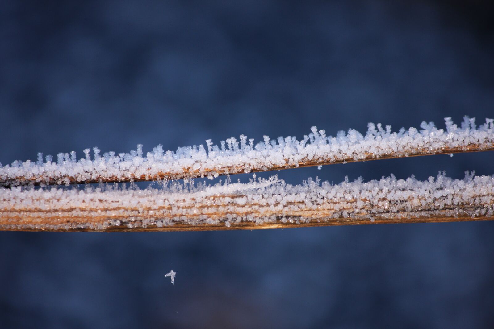 Canon EOS 40D sample photo. Ice, crystals, winter photography