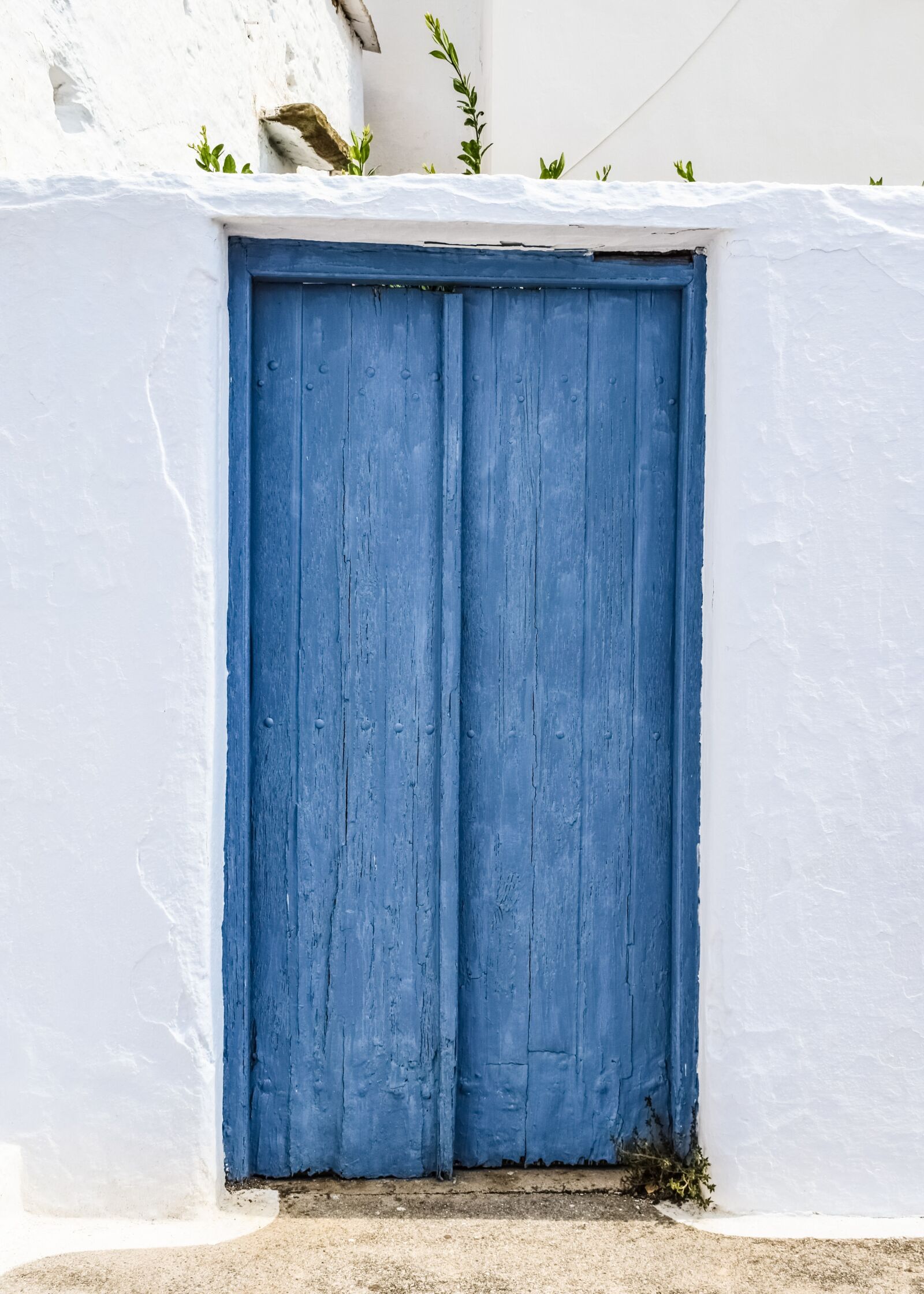 Nikon D3300 sample photo. Door, wooden, blue photography