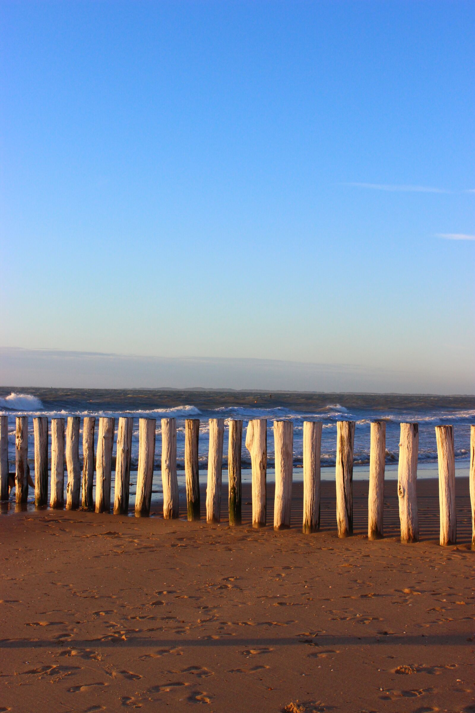 Canon EOS 600D (Rebel EOS T3i / EOS Kiss X5) sample photo. Cadzand-bad, netherlands, holland photography