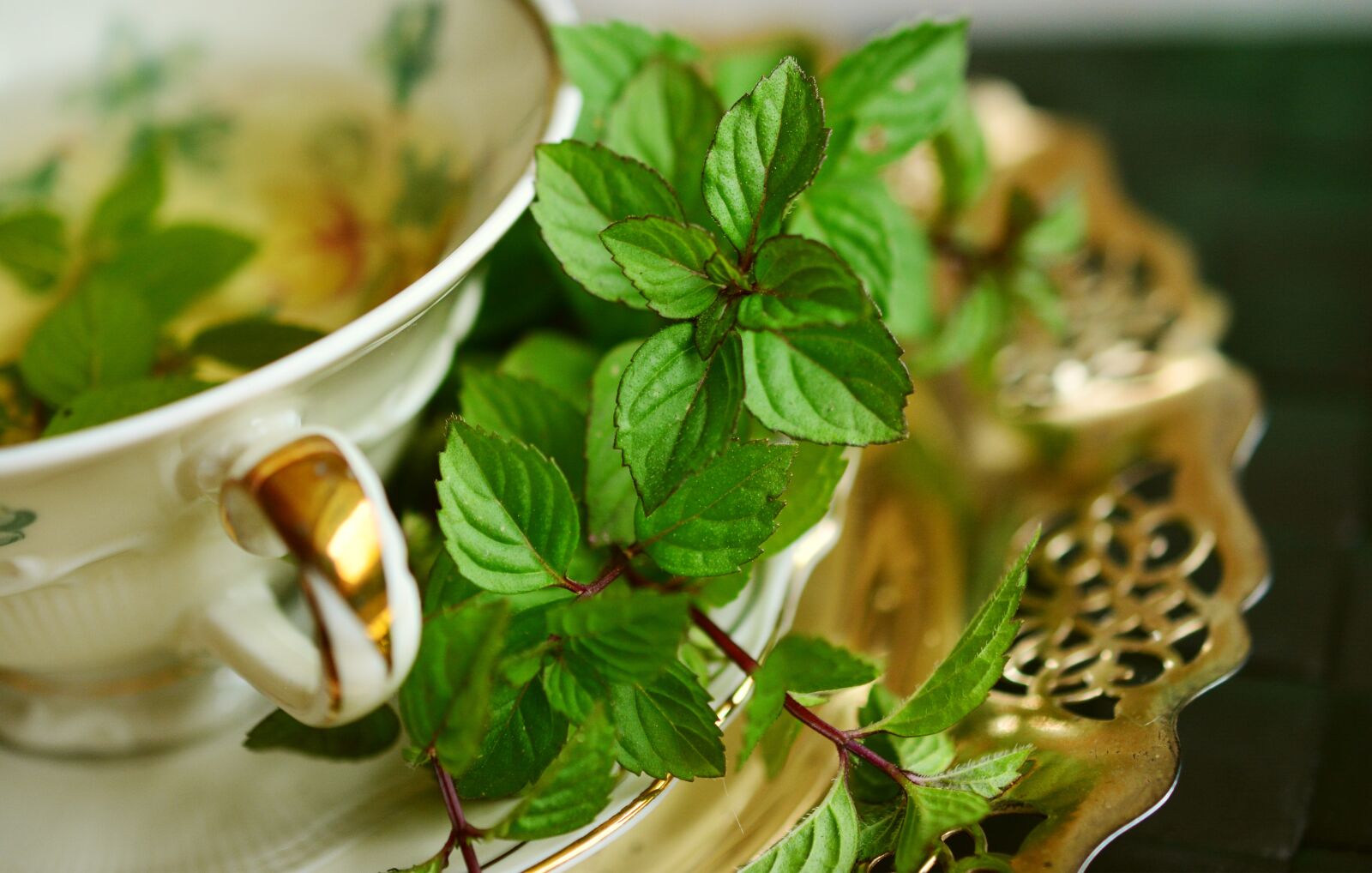 Nikon D5200 sample photo. Peppermint, peppermint tea, mint photography