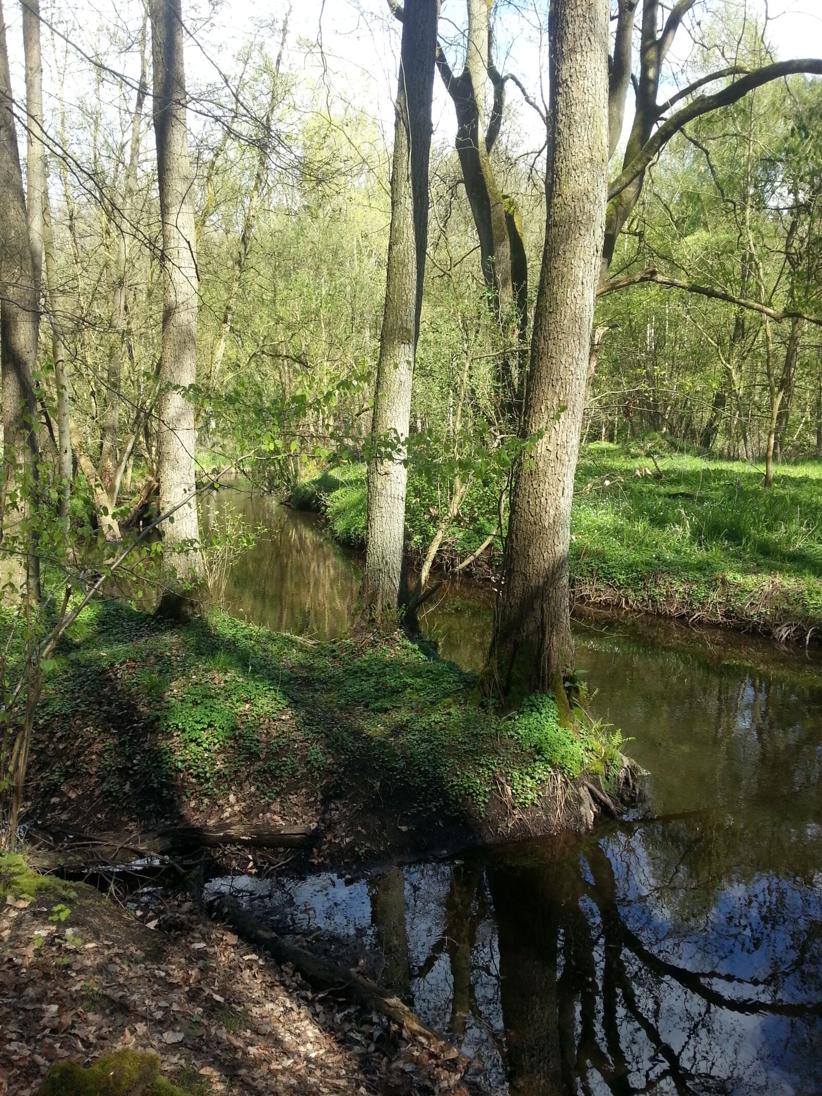 Samsung Galaxy Note2 sample photo. Water, bach, river photography