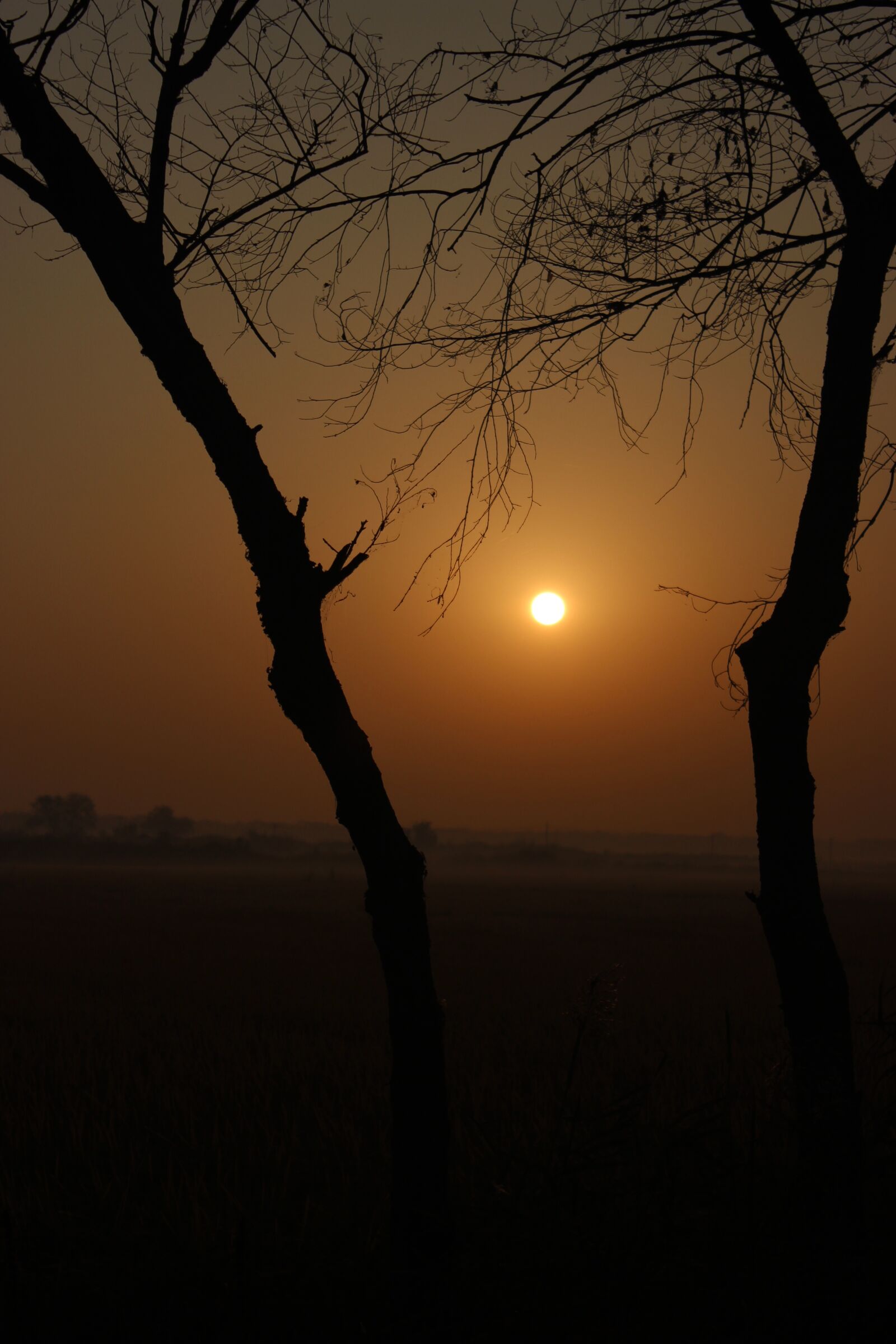 Canon EOS 600D (Rebel EOS T3i / EOS Kiss X5) sample photo. Sunrise, sunset, lonely photography