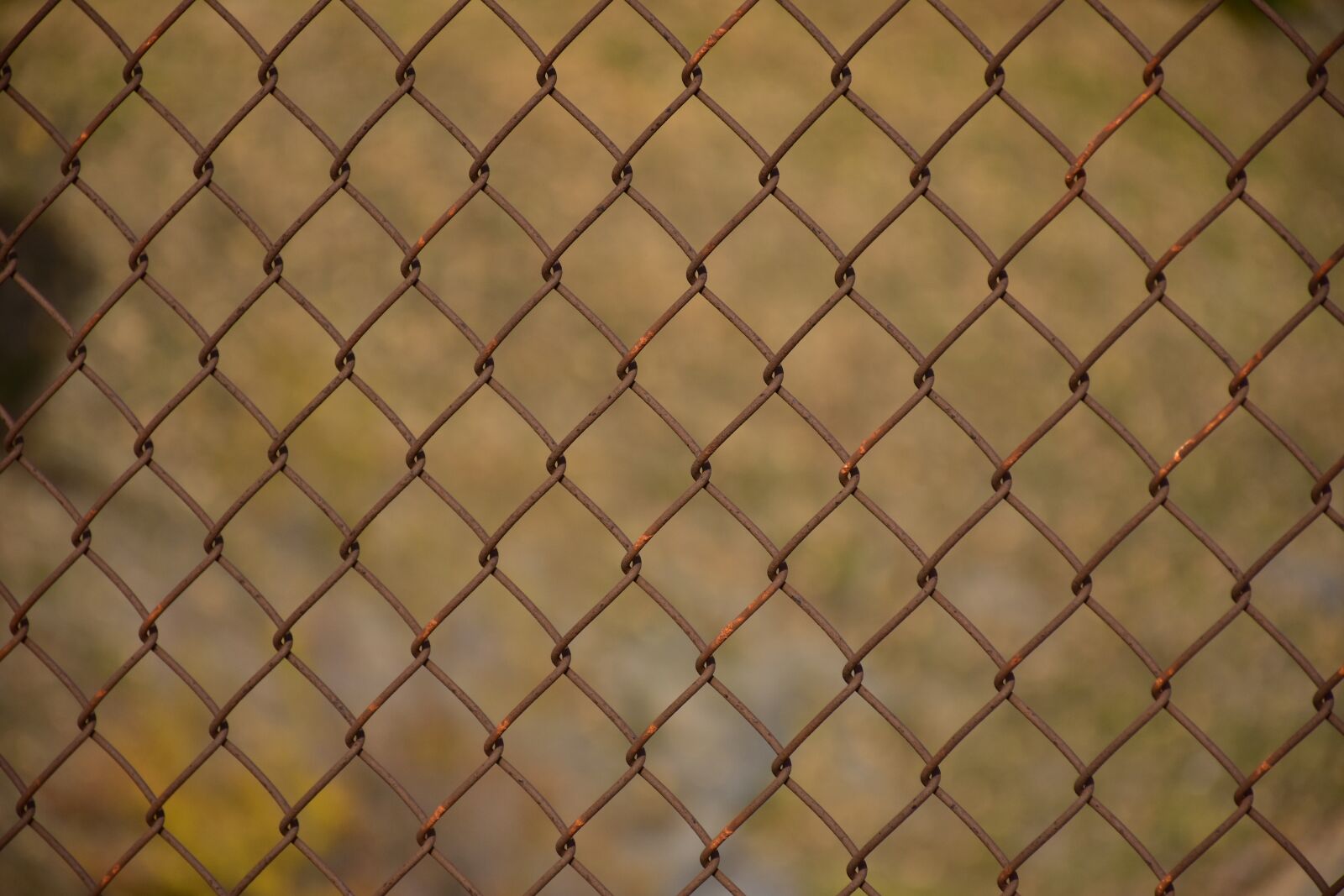 Nikon D7200 sample photo. Fence, texture, steel photography