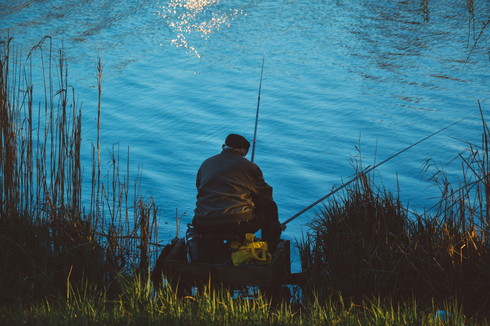 Nikon D3200 sample photo. Man, sitting, on, the photography