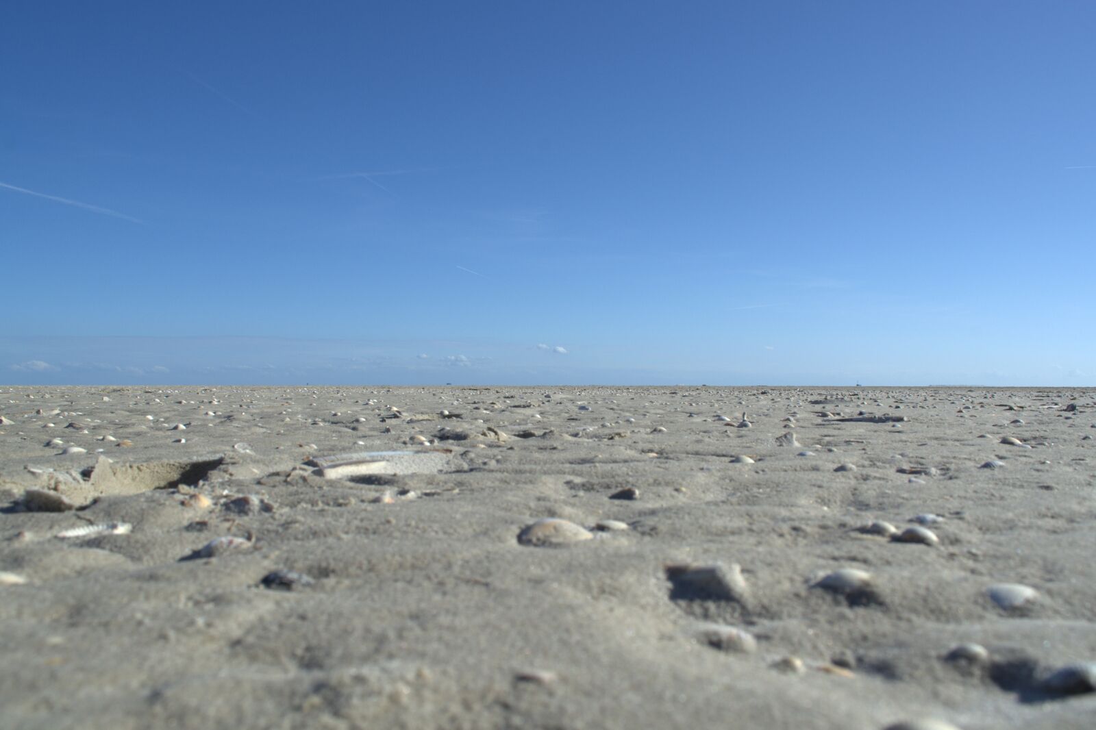 Nikon D5200 sample photo. Norderoogersand, protection zone, noorderuug photography