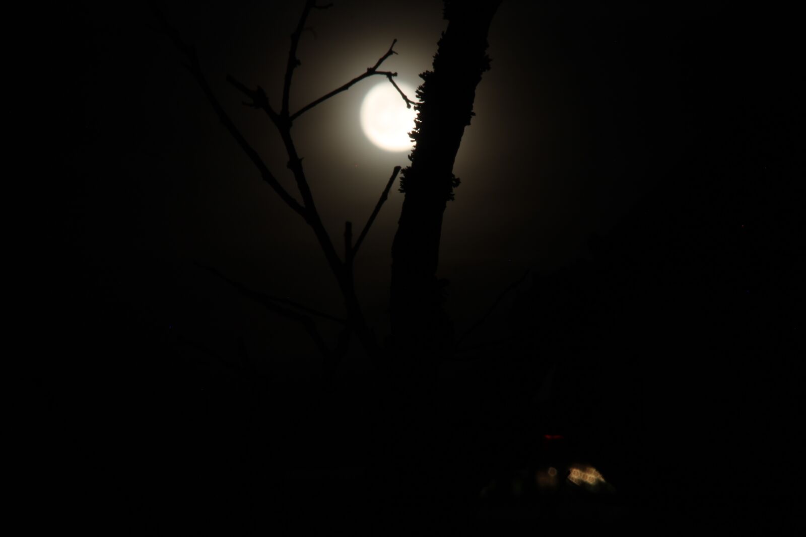 Canon EF 80-200mm F4.5-5.6 II sample photo. Moon, night, nature photography