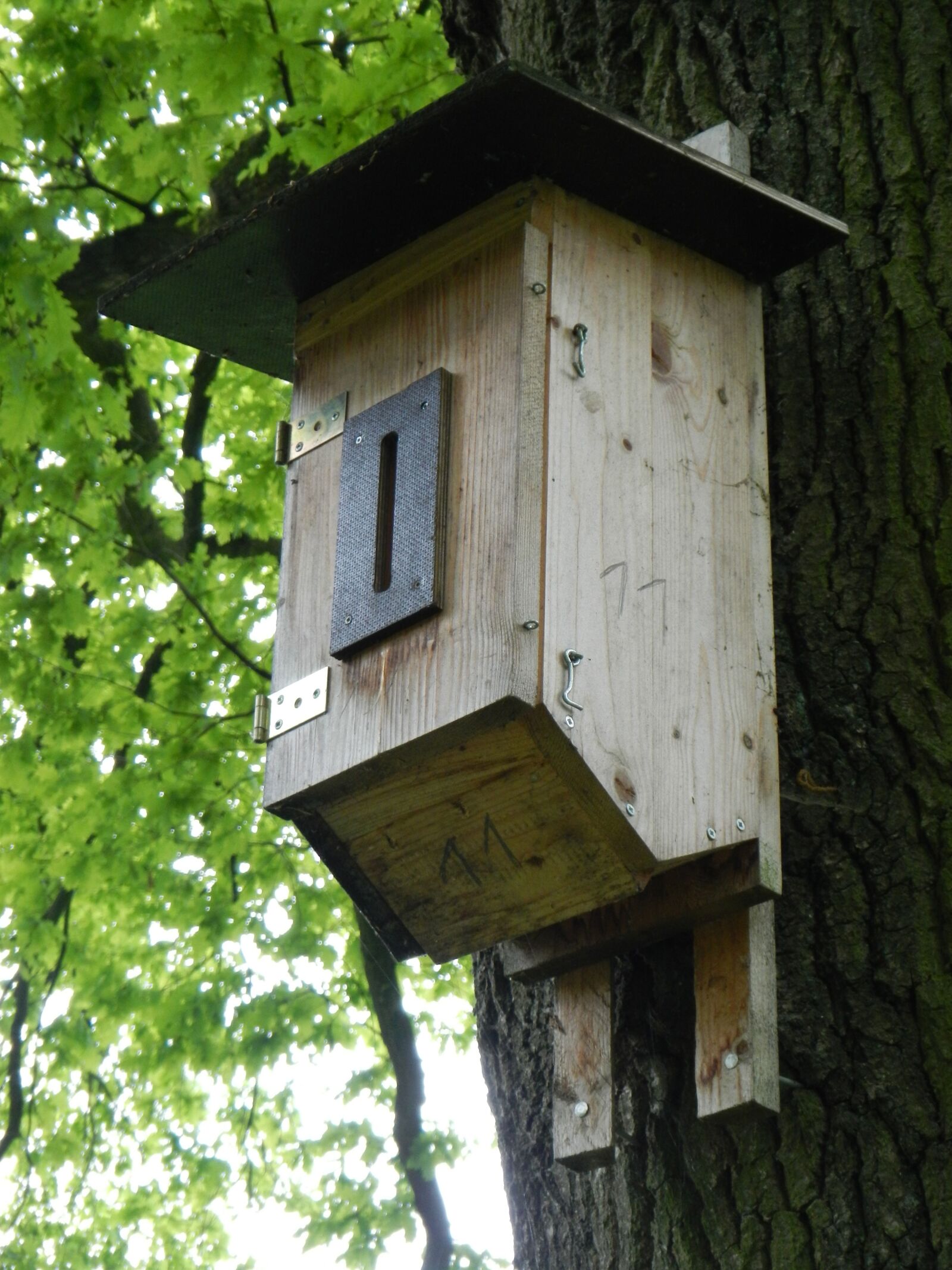 Nikon Coolpix AW100 sample photo. Nesting box, aviary, bird photography
