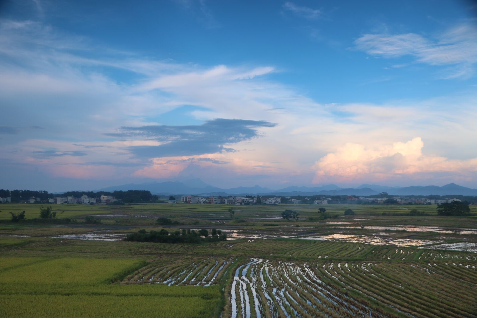 Canon EOS 70D sample photo. Countryside, scenery, in rice photography