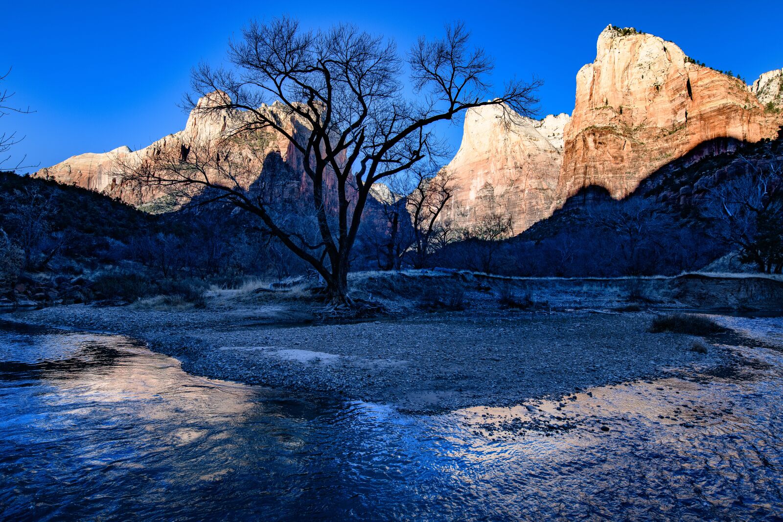 Nikon D850 sample photo. Zion, utah, patriarchs photography