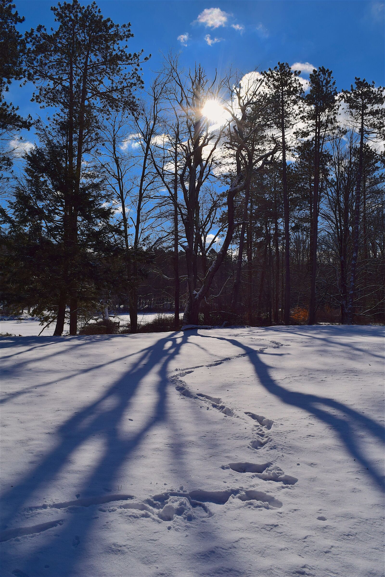 Nikon D3300 sample photo. Winter, snow, shadow photography