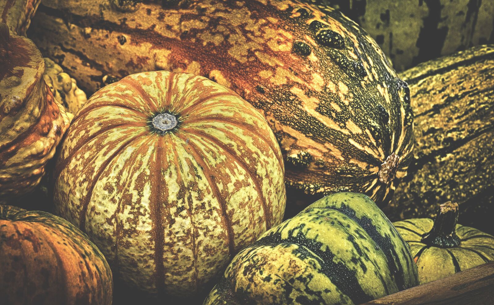 Nikon D7200 sample photo. Pumpkins, colorful, autumn photography