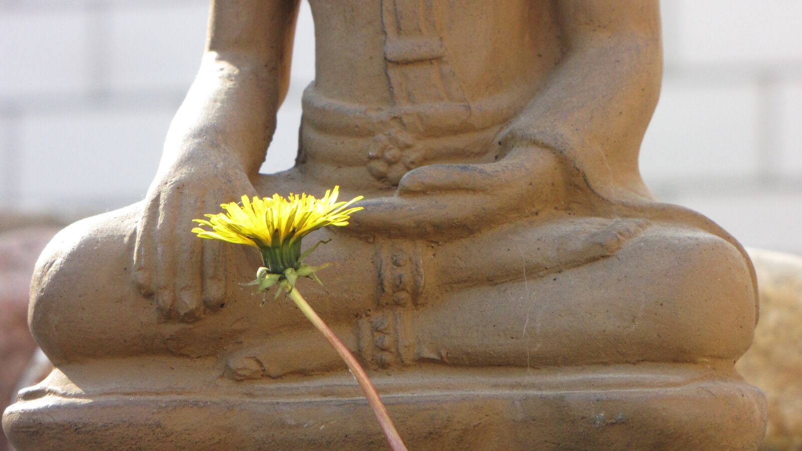 Canon PowerShot SX1 IS sample photo. Buddha, flower, asia photography