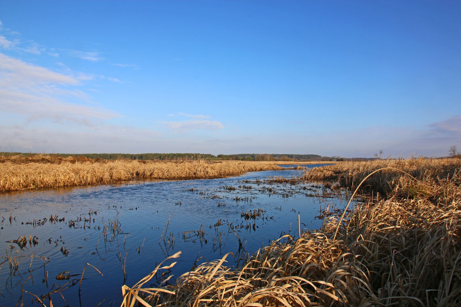 Canon EOS 70D sample photo. River, marsh, swamp photography