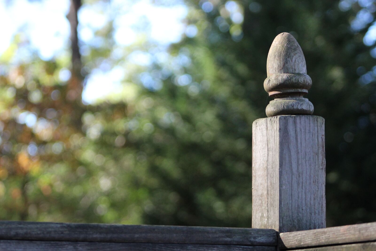 Canon EF 75-300mm f/4-5.6 sample photo. Fall, post, composition photography