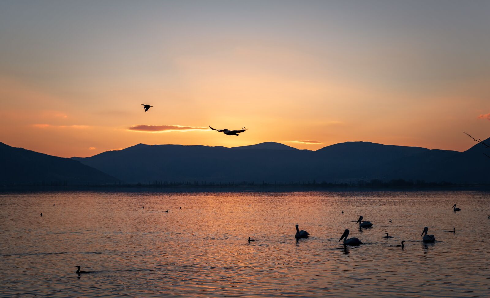Tamron SP 24-70mm F2.8 Di VC USD sample photo. Lake, morning, sunrise photography