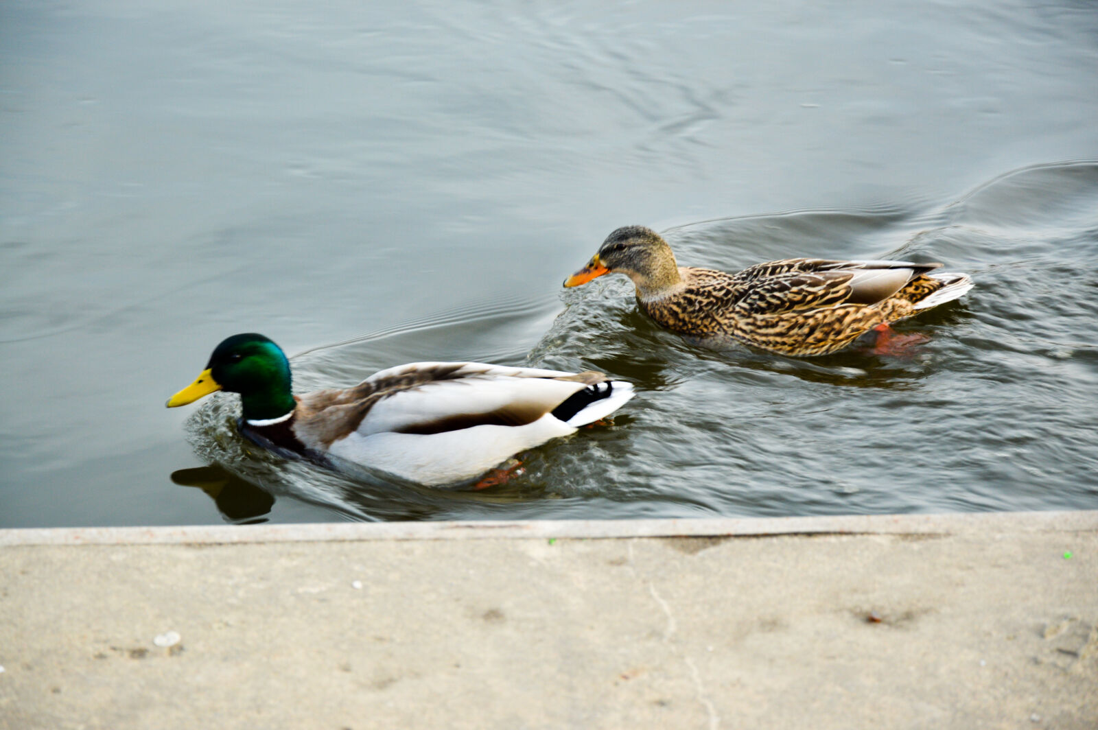 Nikon D3200 sample photo