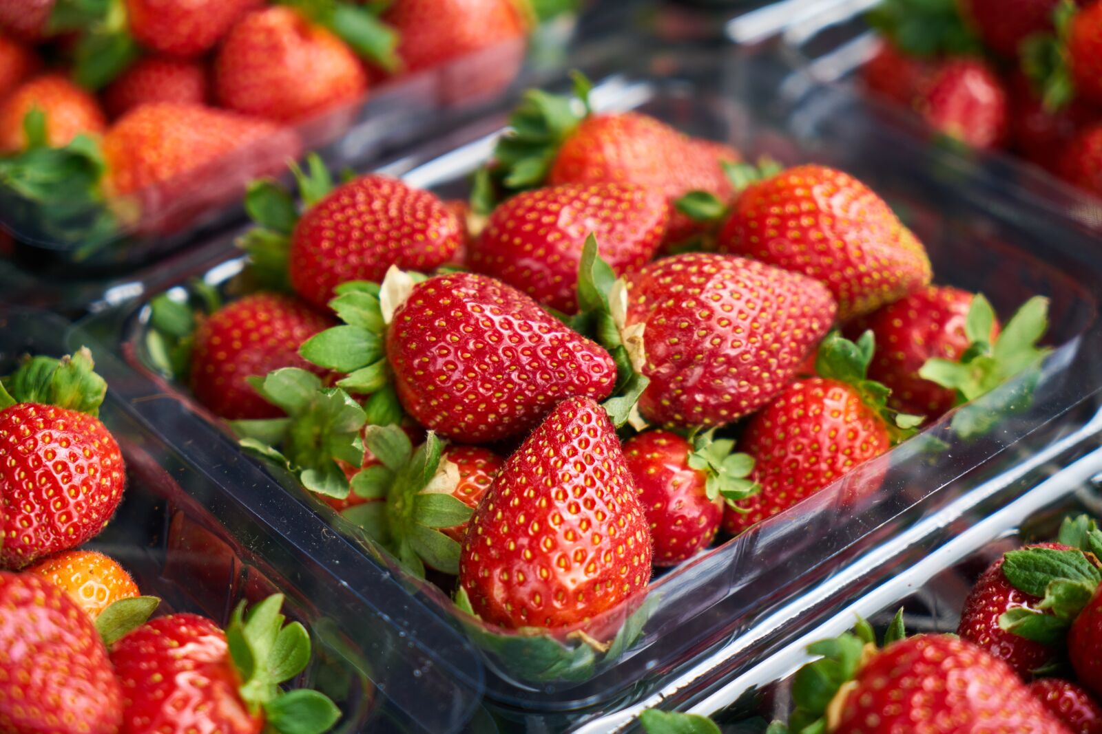 Sony a7R II sample photo. Strawberry, fruit, fruit garden photography
