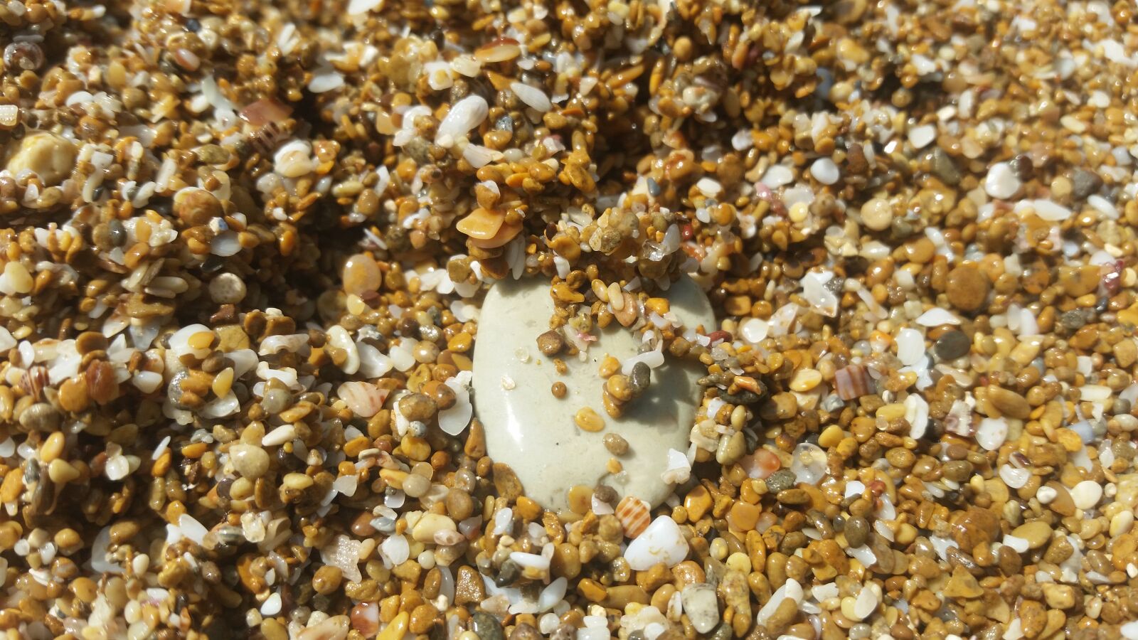 Samsung Galaxy S5 sample photo