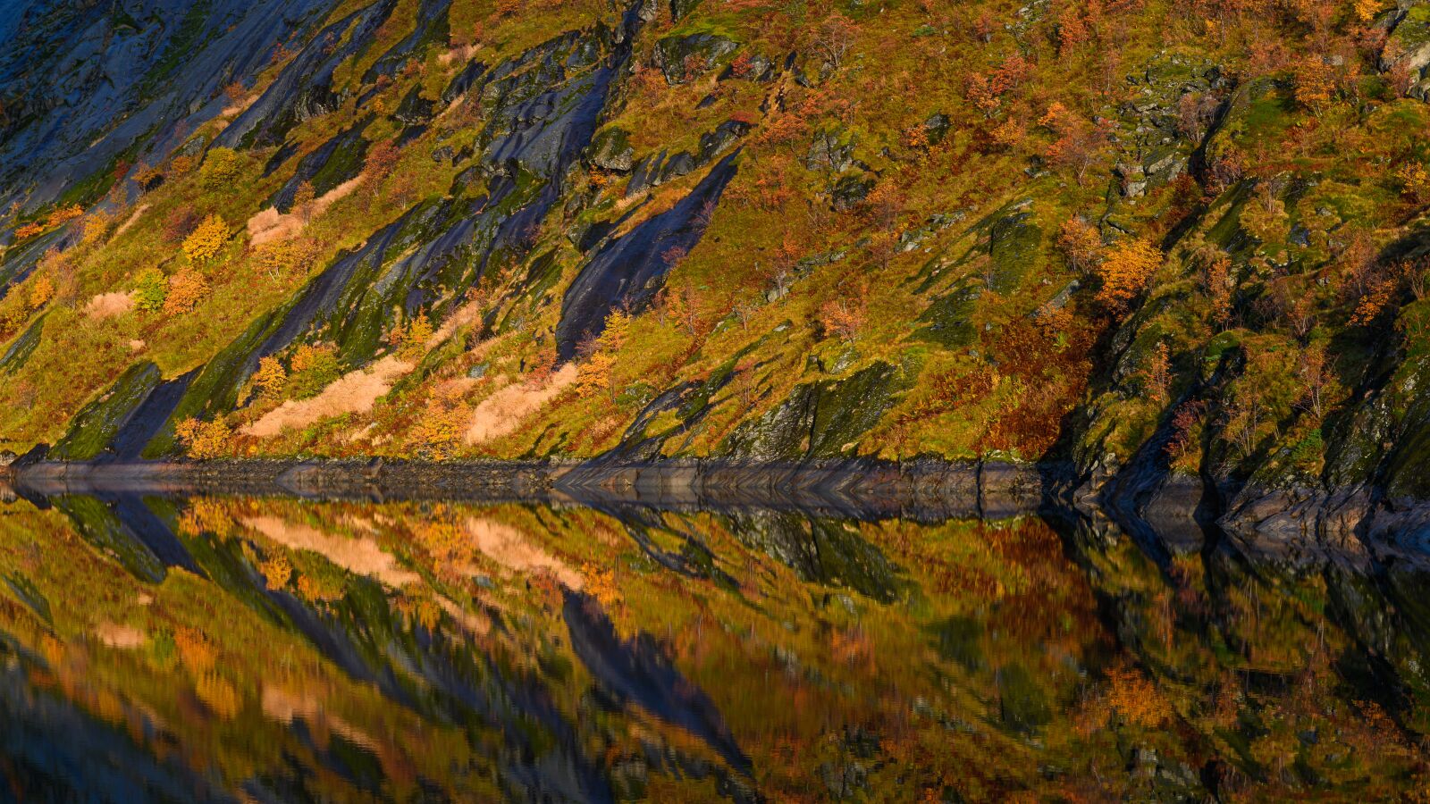Nikon Z7 sample photo. Autumn colours, mirroring, abstract photography