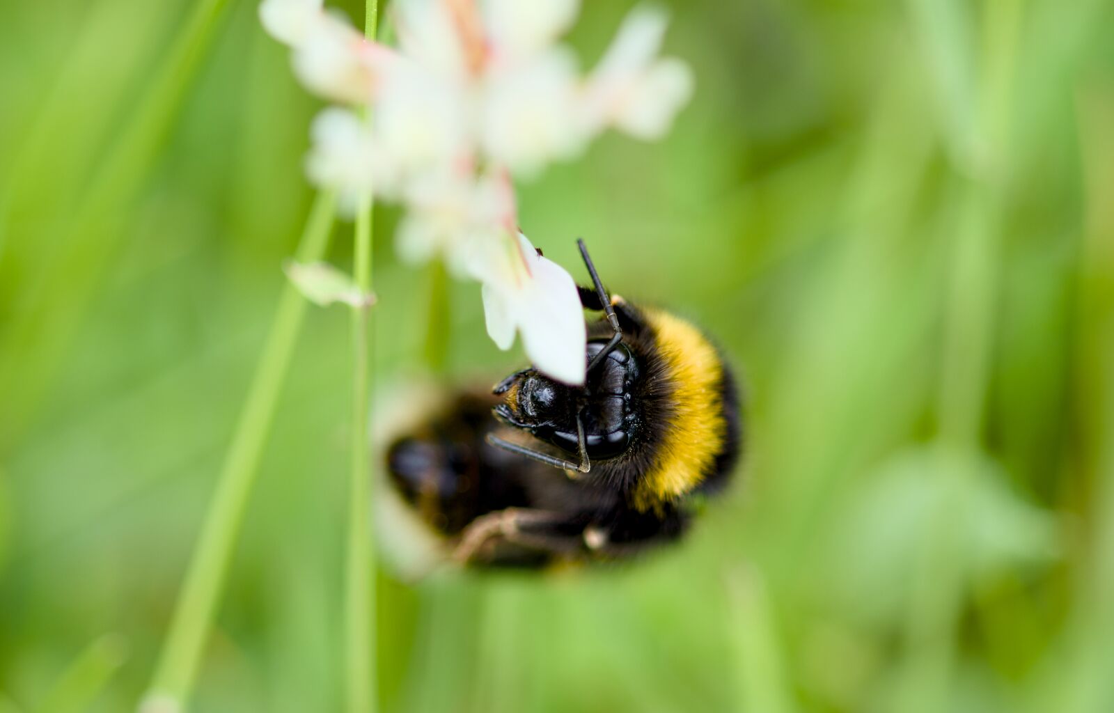 Nikon D7200 sample photo