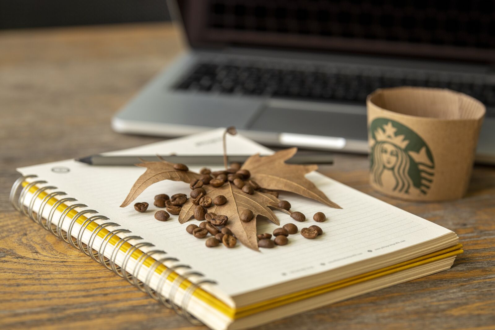 Canon RF 85mm F1.2L USM sample photo. Autumn, coffee, laptop photography