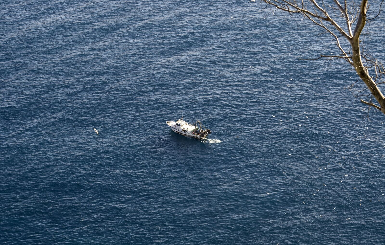 Nikon D300 sample photo. Boat, fishing boat, fishing photography