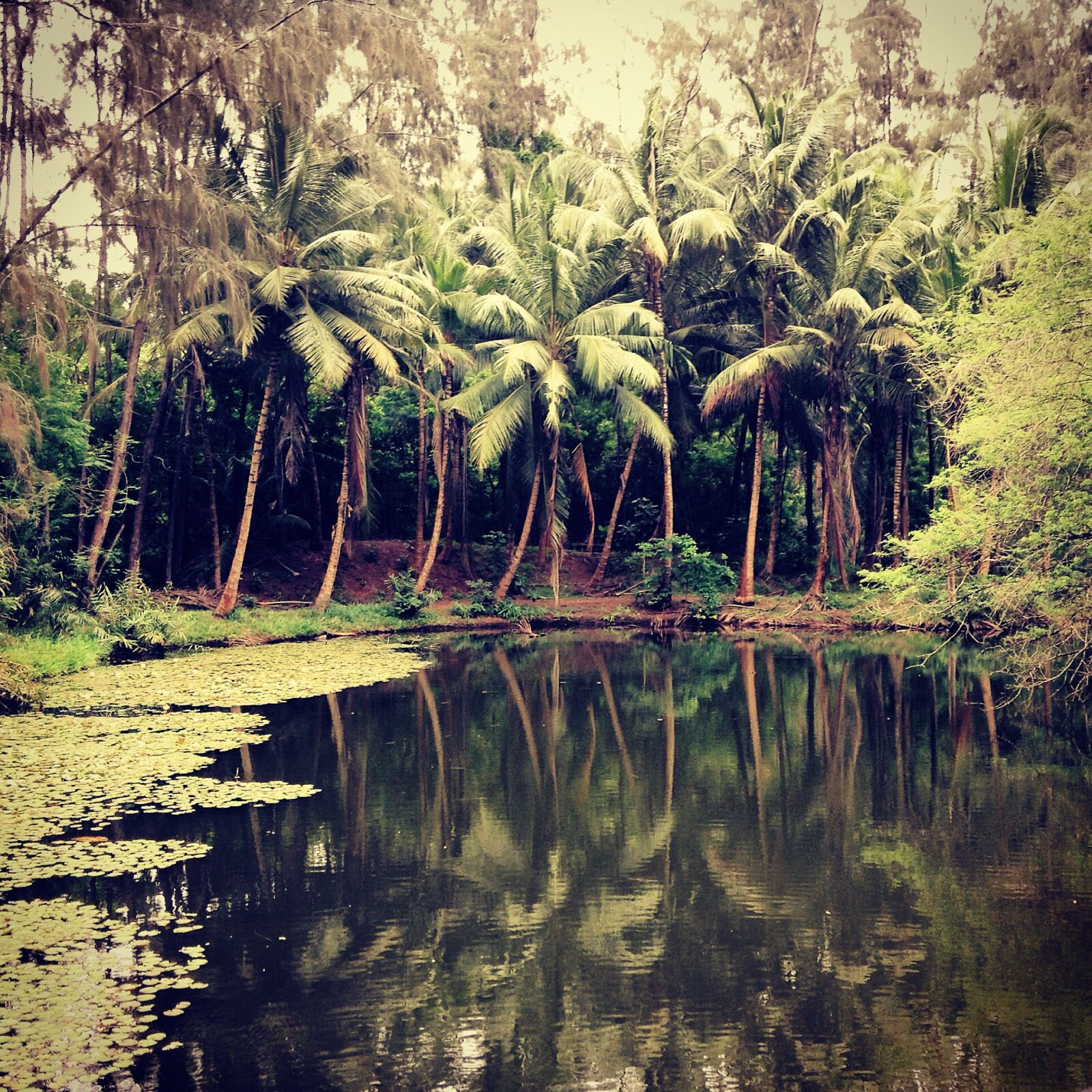 Apple iPod touch sample photo. Karan photography