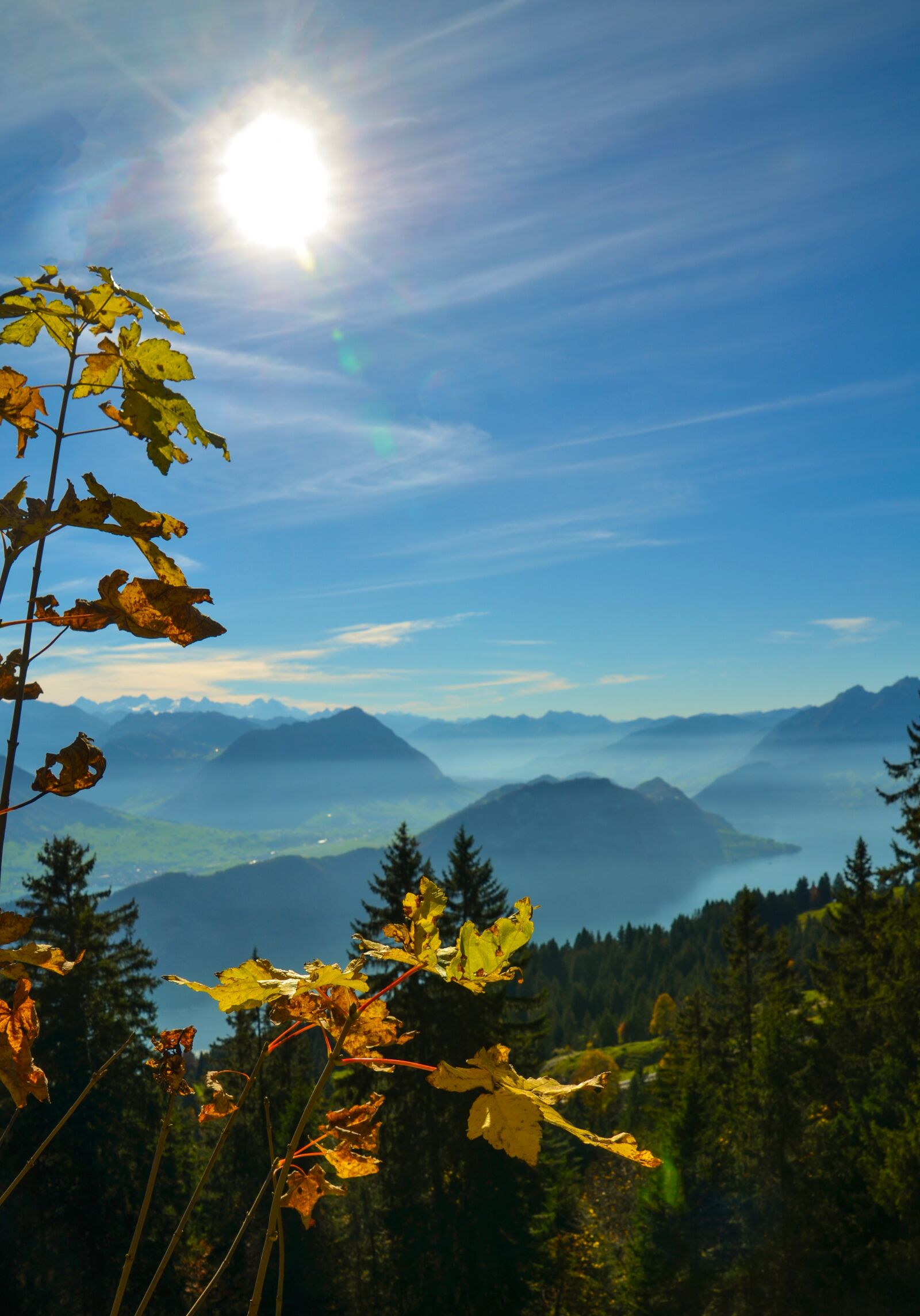 Nikon D7000 sample photo. Alpine, rigi, pilatus photography