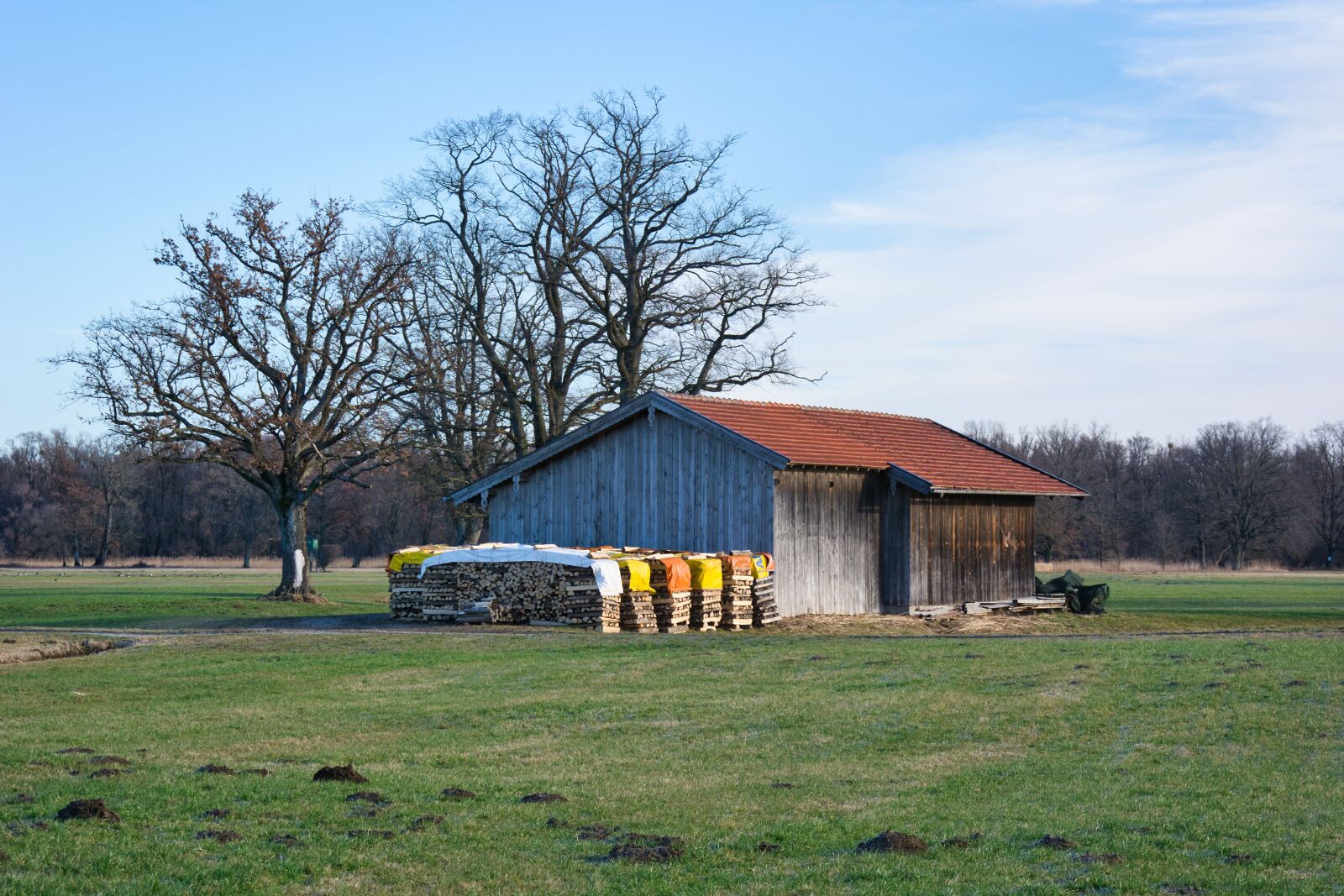 Nikon D7100 sample photo. Trees, hut, barn photography