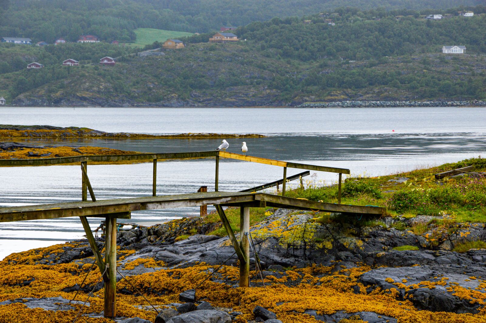 Nikon D3200 sample photo. Lake, sea, fjord photography