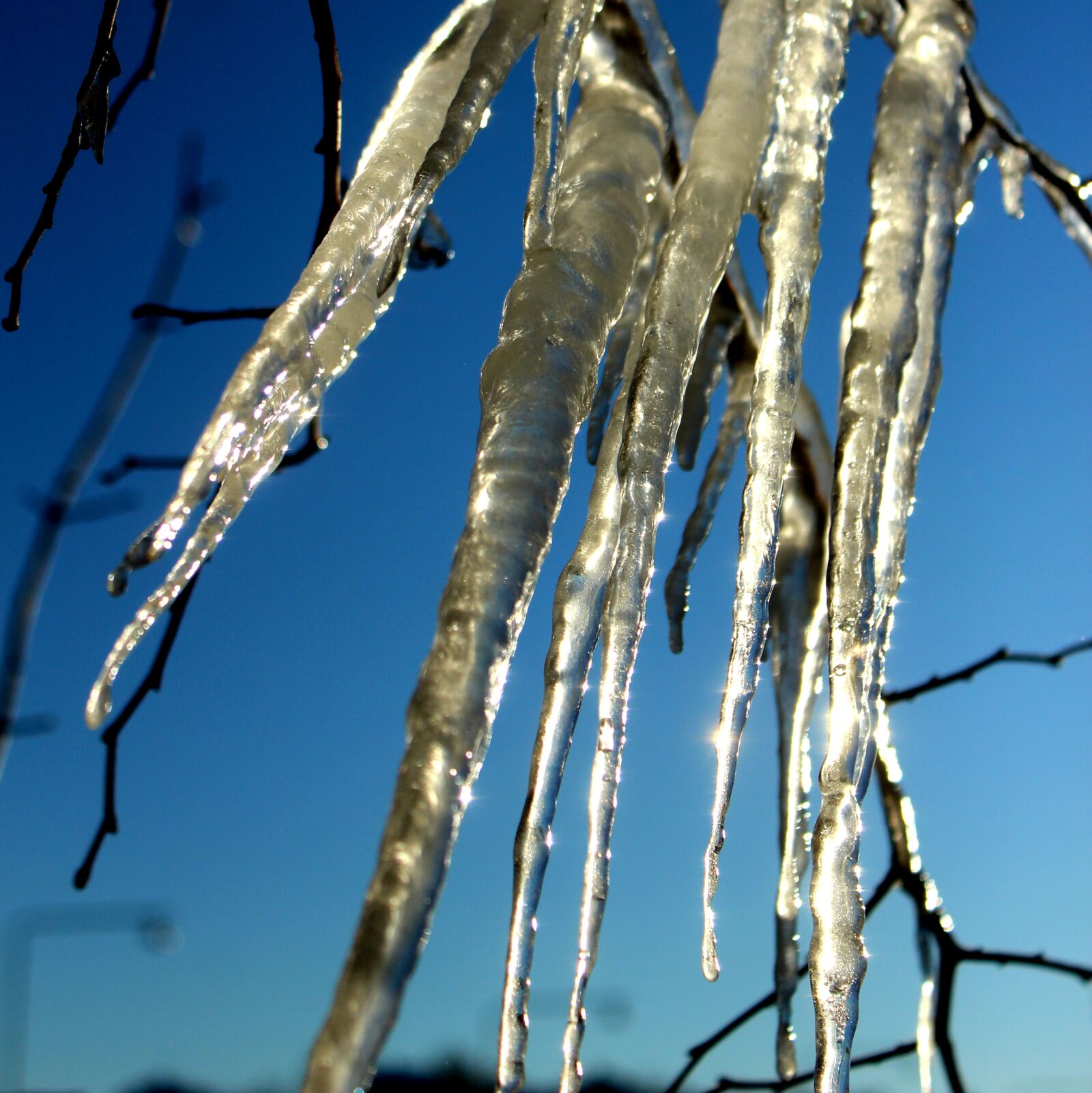Canon EOS 600D (Rebel EOS T3i / EOS Kiss X5) sample photo. Ice, winter, cold photography