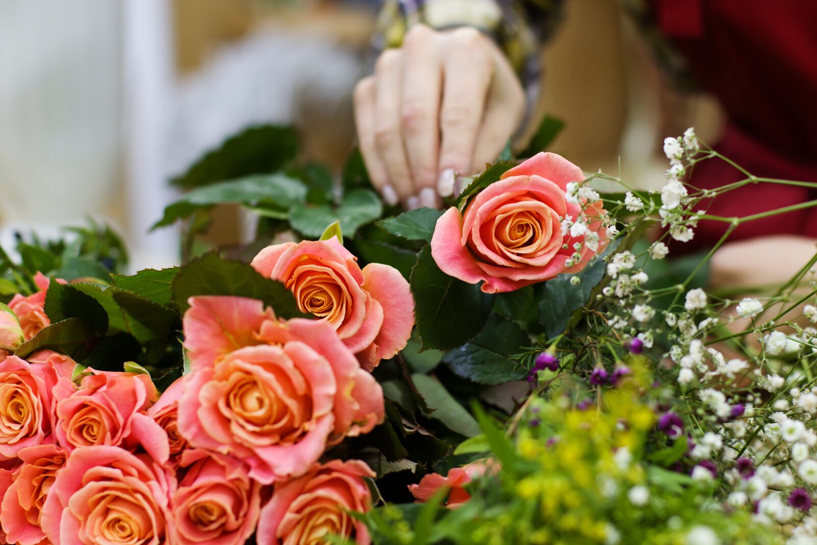 Canon EOS 70D + Canon EF 50mm F1.4 USM sample photo. Purchase, sale, shop photography