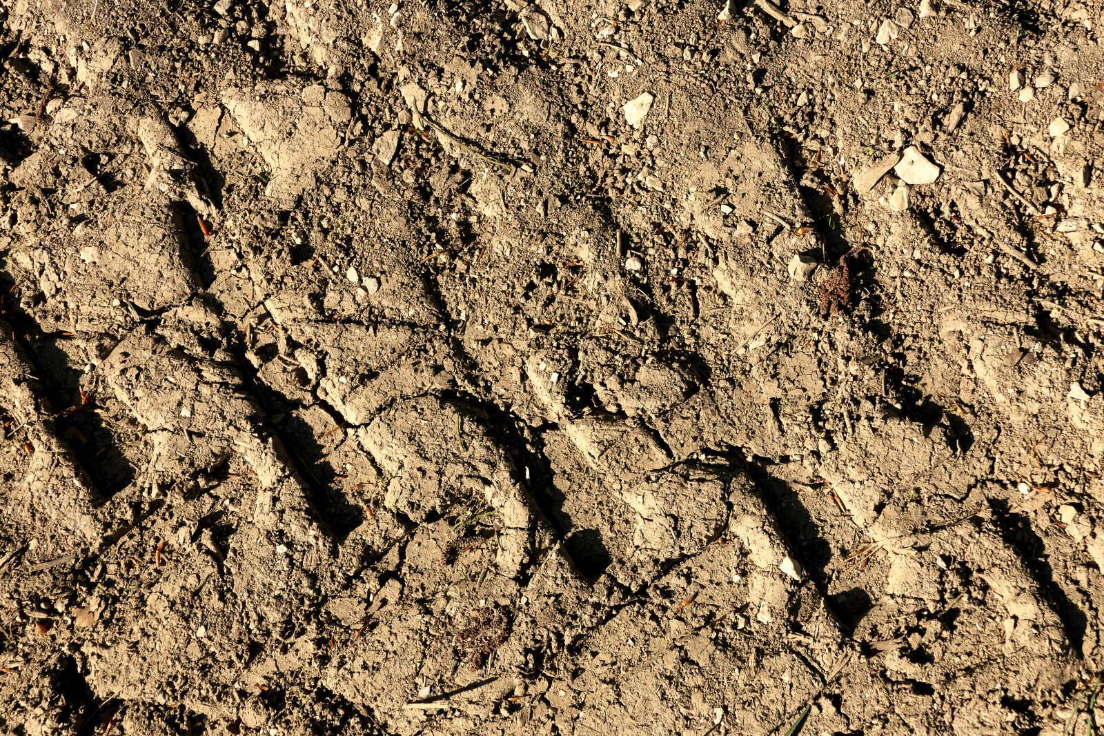 Panasonic Lumix DMC-FZ1000 sample photo. Tire track, earth, lane photography