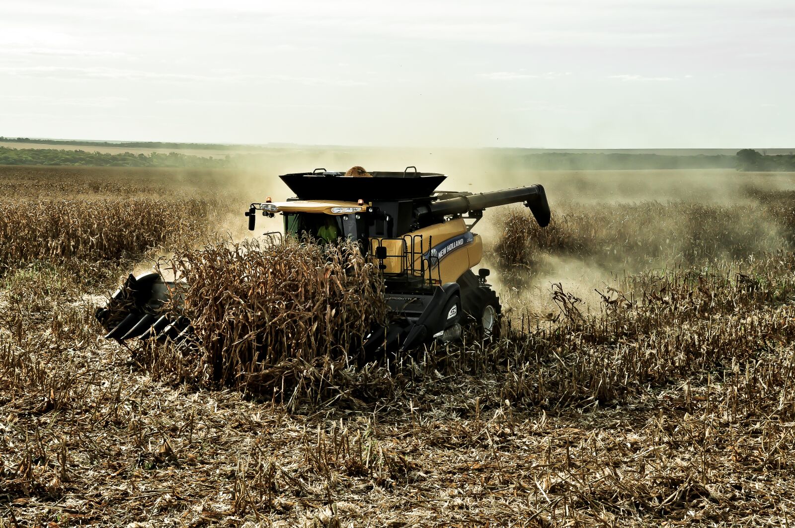 Nikon D5000 sample photo. Corn, agriculture, harvest photography