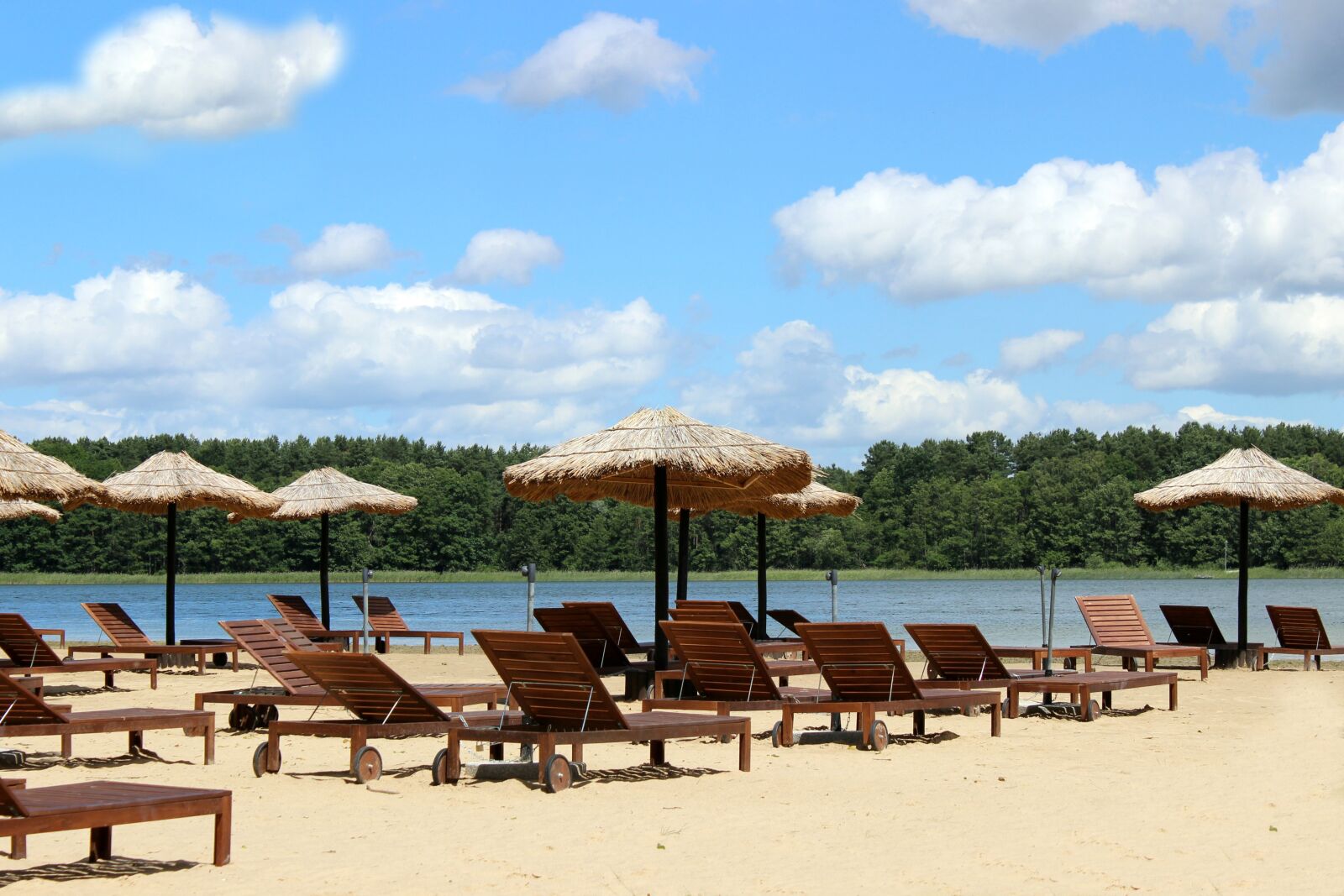 Canon EOS 600D (Rebel EOS T3i / EOS Kiss X5) sample photo. Beach, plant, sun loungers photography