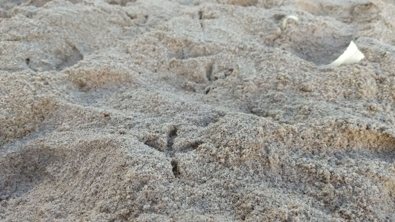 Motorola Moto Z (2) Play sample photo. Beach, footprints, sand photography