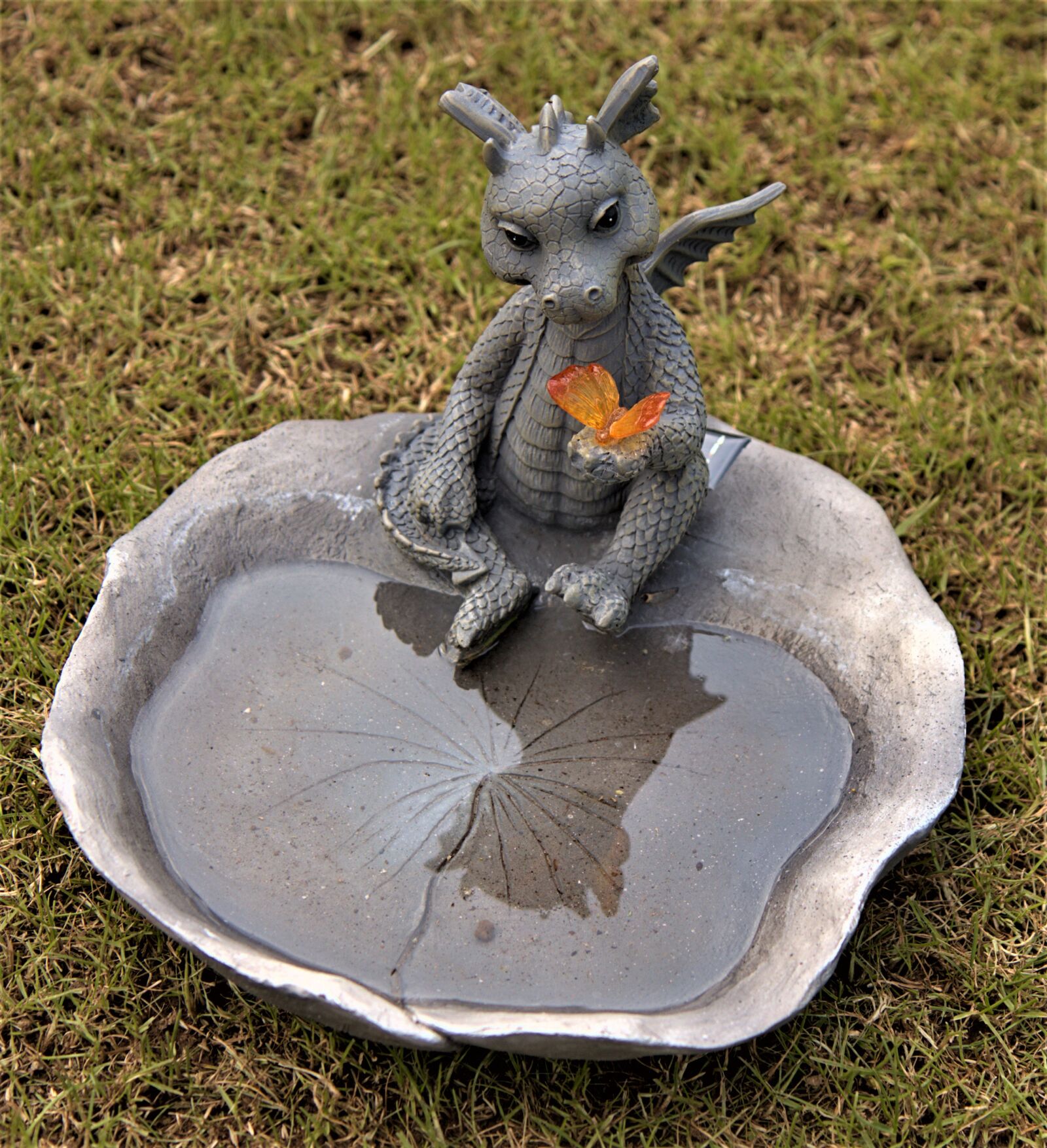 Canon EOS 80D sample photo. Dragons with water bowl photography