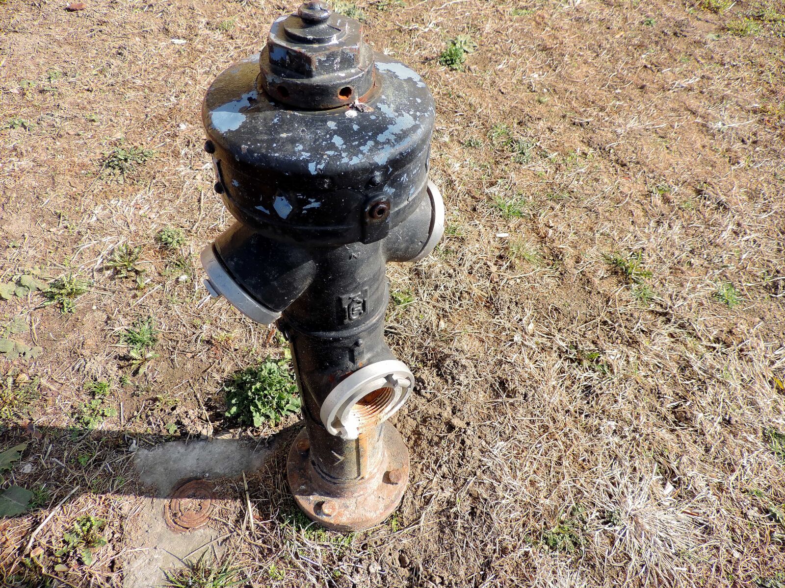 Nikon Coolpix P520 sample photo. Hydrant, device, mechanism, nature photography