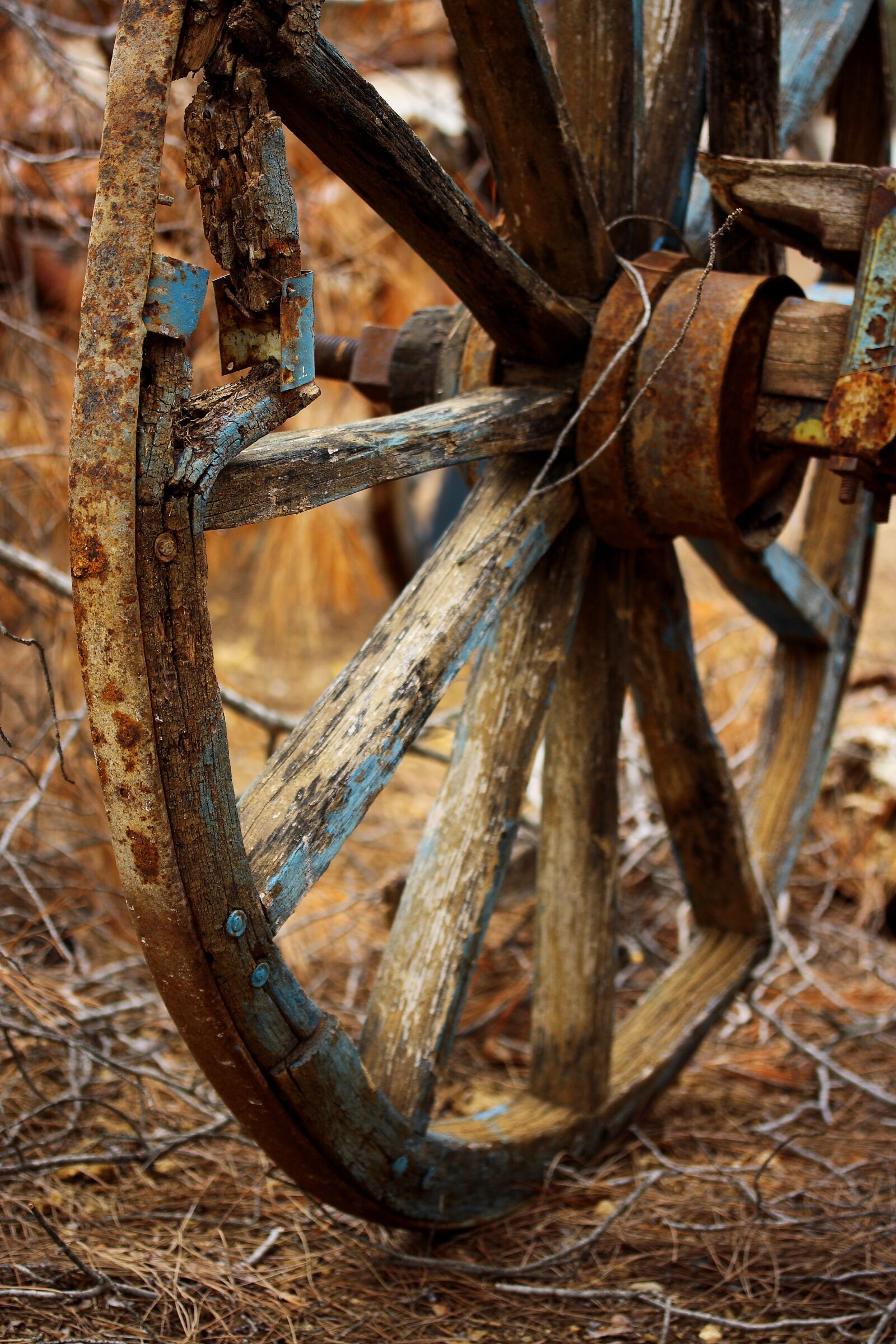Canon EOS 40D sample photo. Wheel, wood-fibre boards, old photography