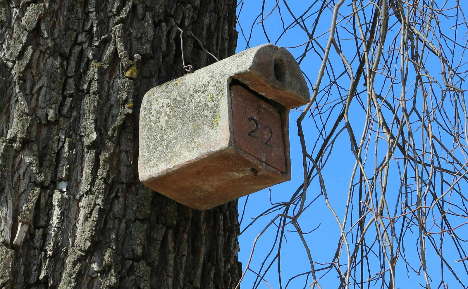 Canon EOS M sample photo. Aviary, bird feeder, nesting photography