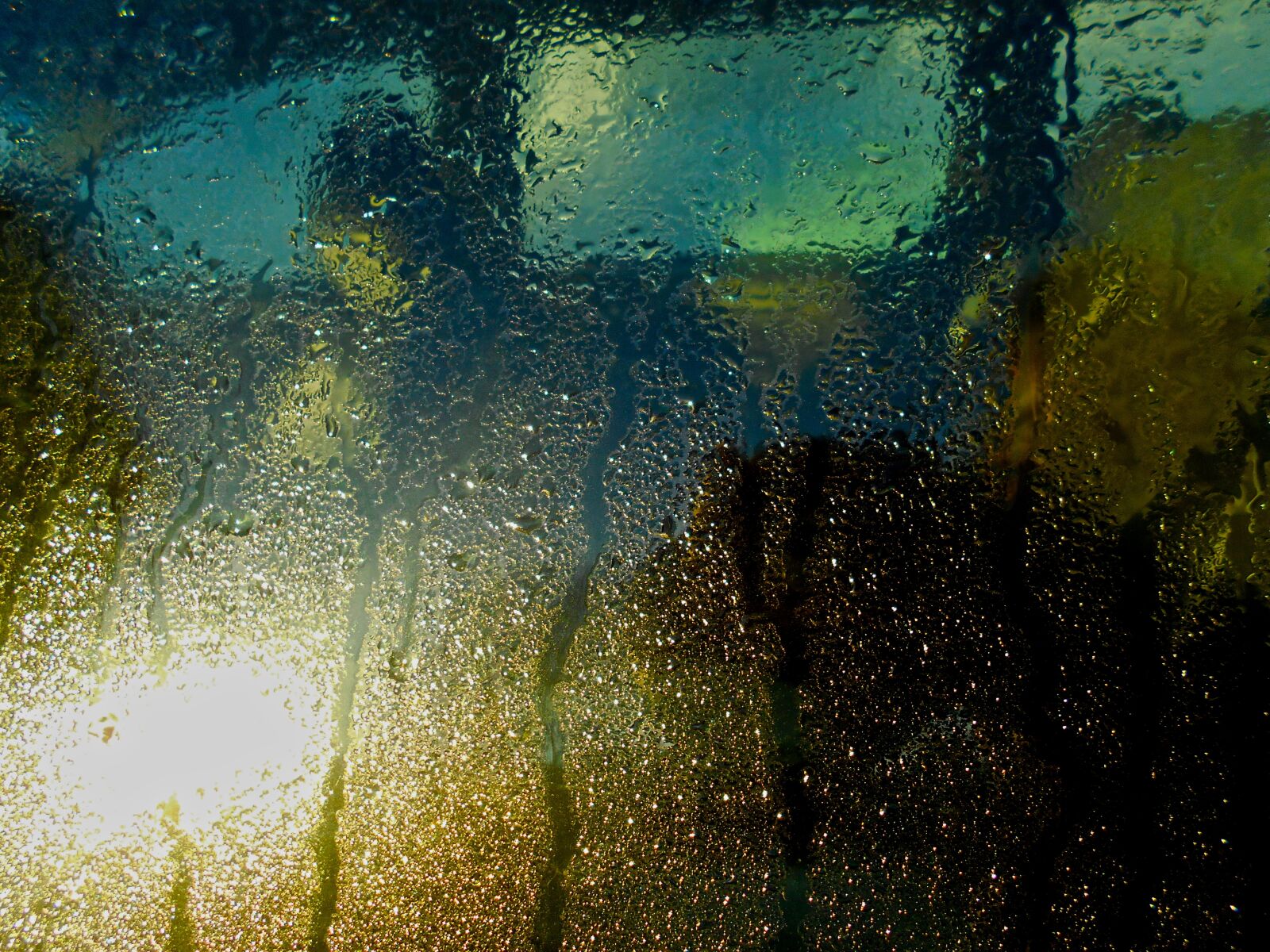 Nikon Coolpix S2900 sample photo. Car window, condensation, drizzle photography