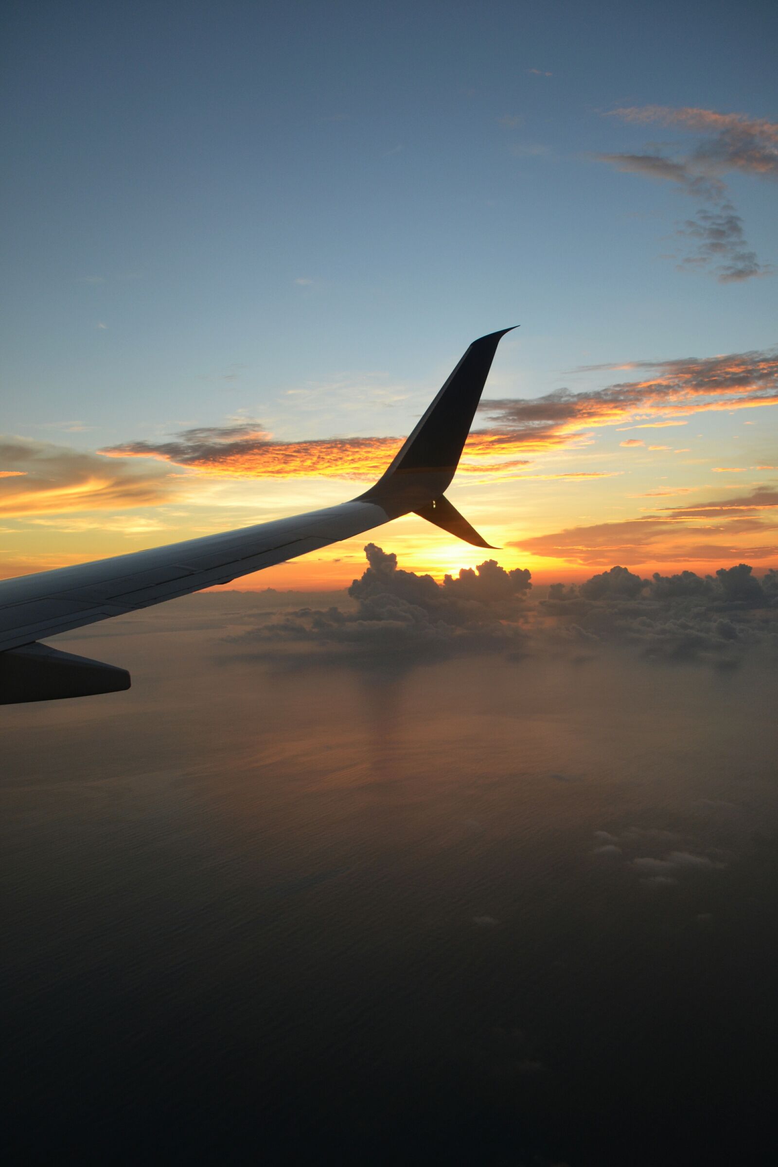 Nikon D3100 sample photo. Fly, plane, sky photography