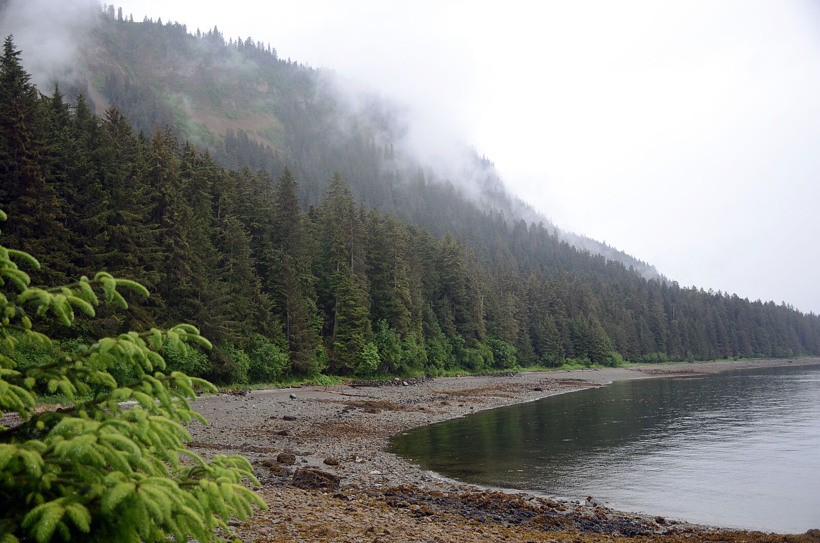 Nikon D7000 sample photo. Alaska, shoreline, landscape photography