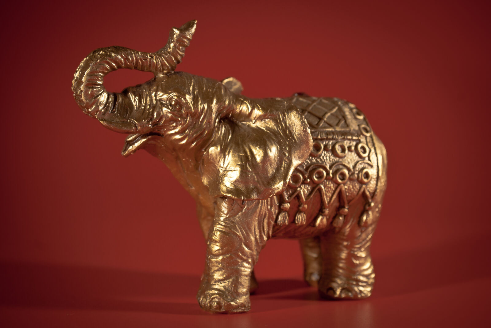 Nikon D200 sample photo. Elephant photography