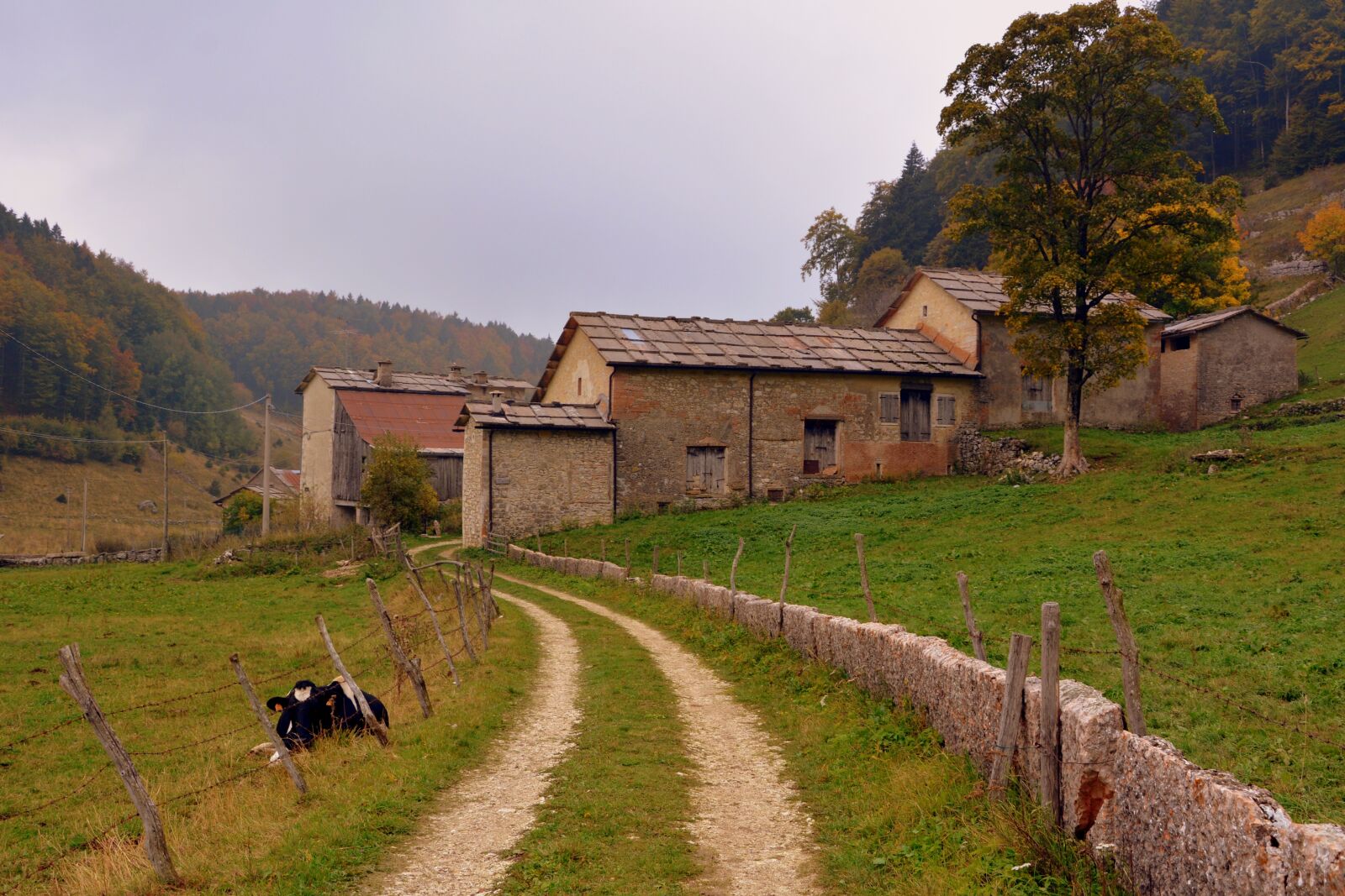 Nikon D7100 sample photo. Trail, stone, fence photography