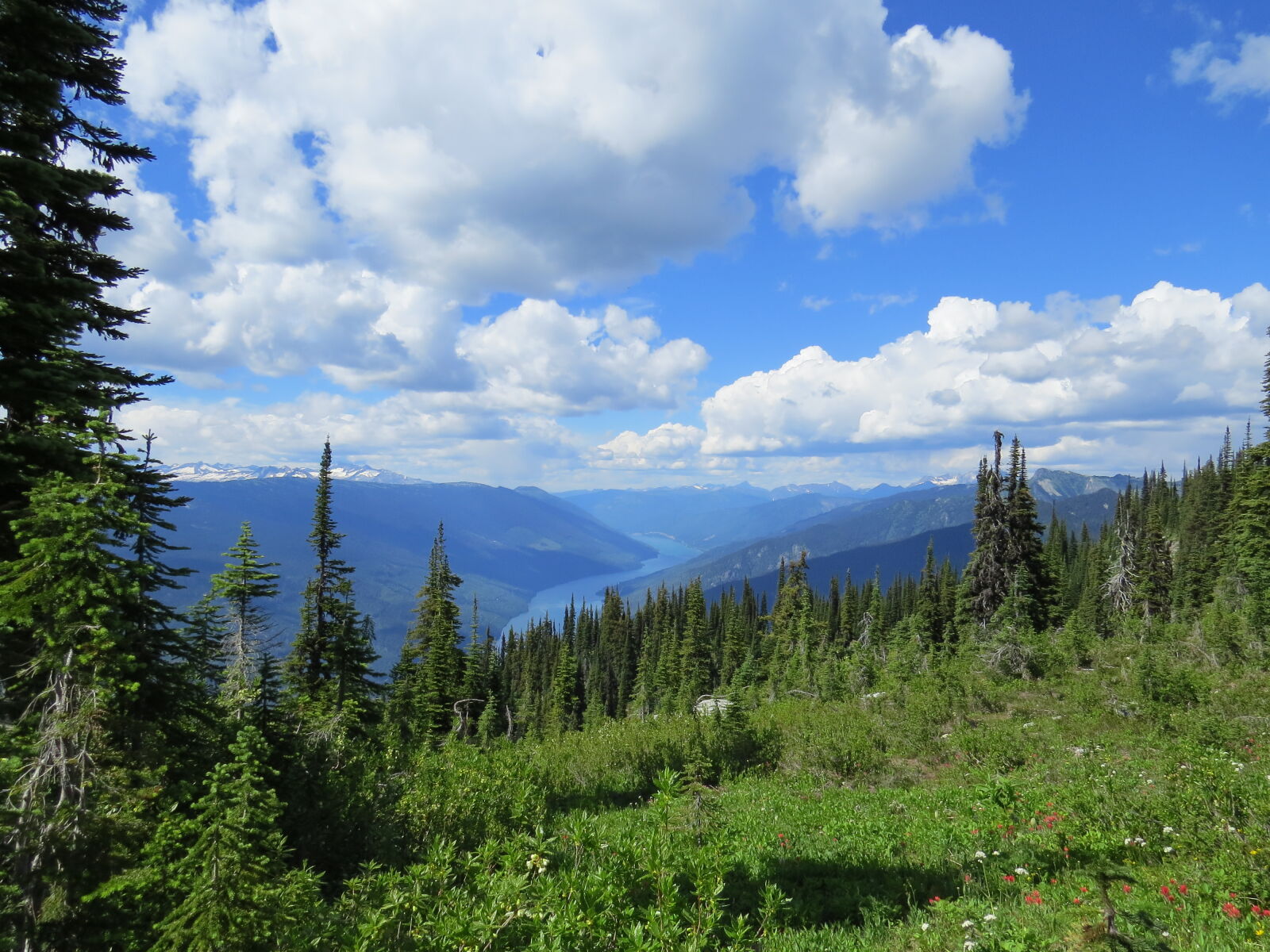 Canon PowerShot SX50 HS sample photo. Mount, revelstoke, national, park photography