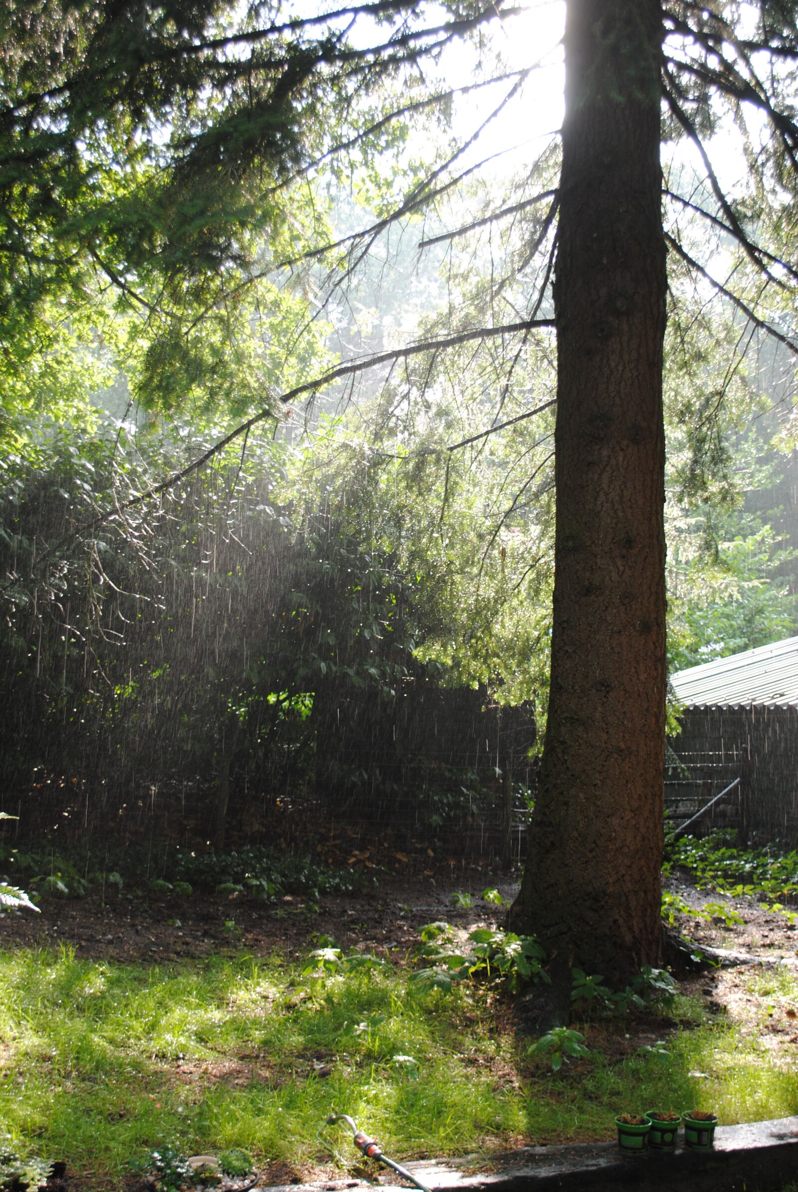 Nikon D3000 sample photo. Dawn, spring, the sun photography