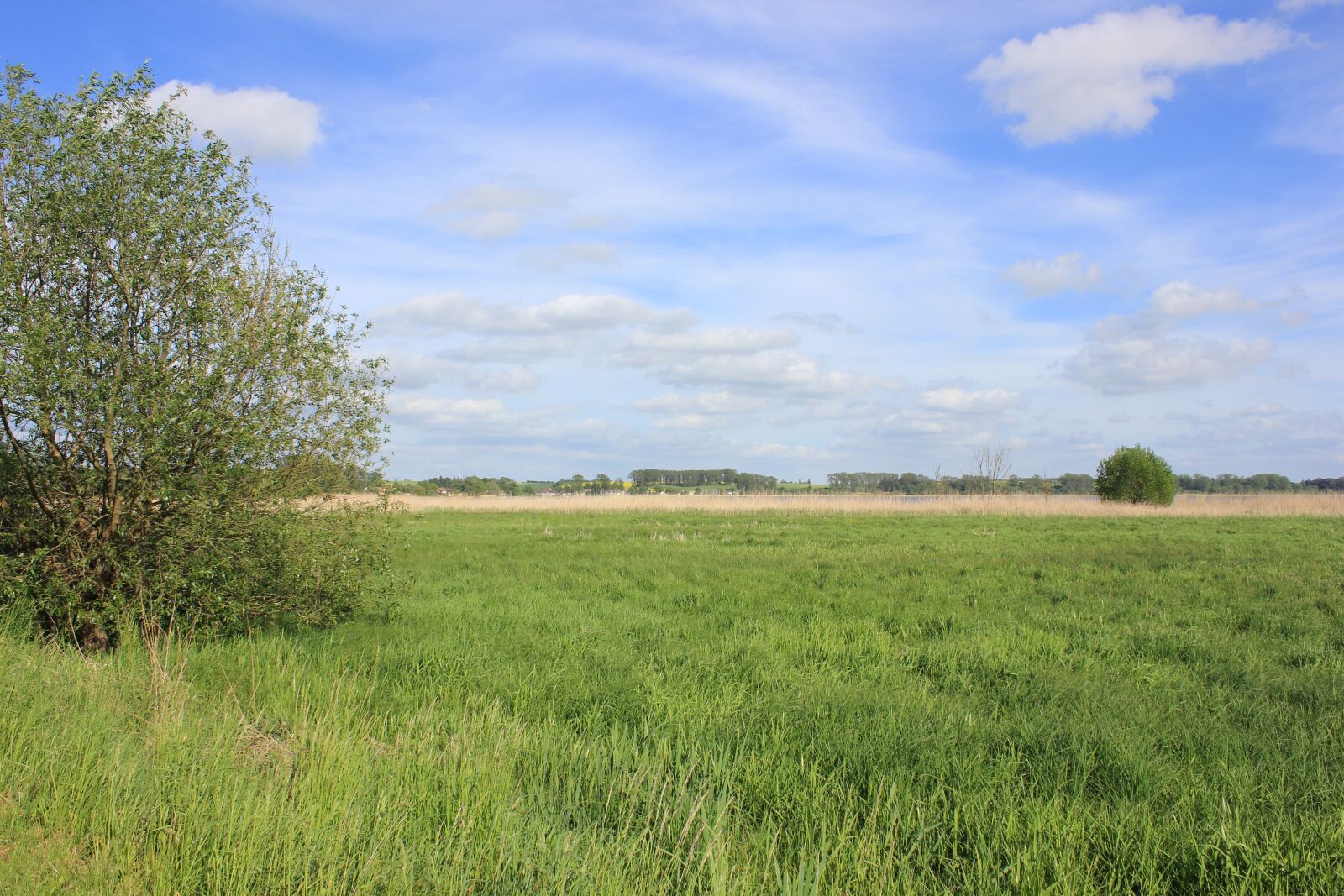Canon EOS 550D (EOS Rebel T2i / EOS Kiss X4) sample photo. Summer, nature, landscape photography