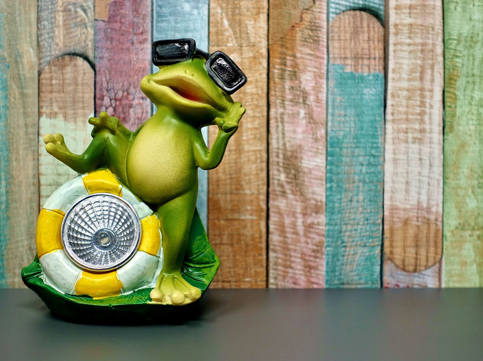 Sony DSC-RX100M5 sample photo. Holidays, vacations, frogs photography