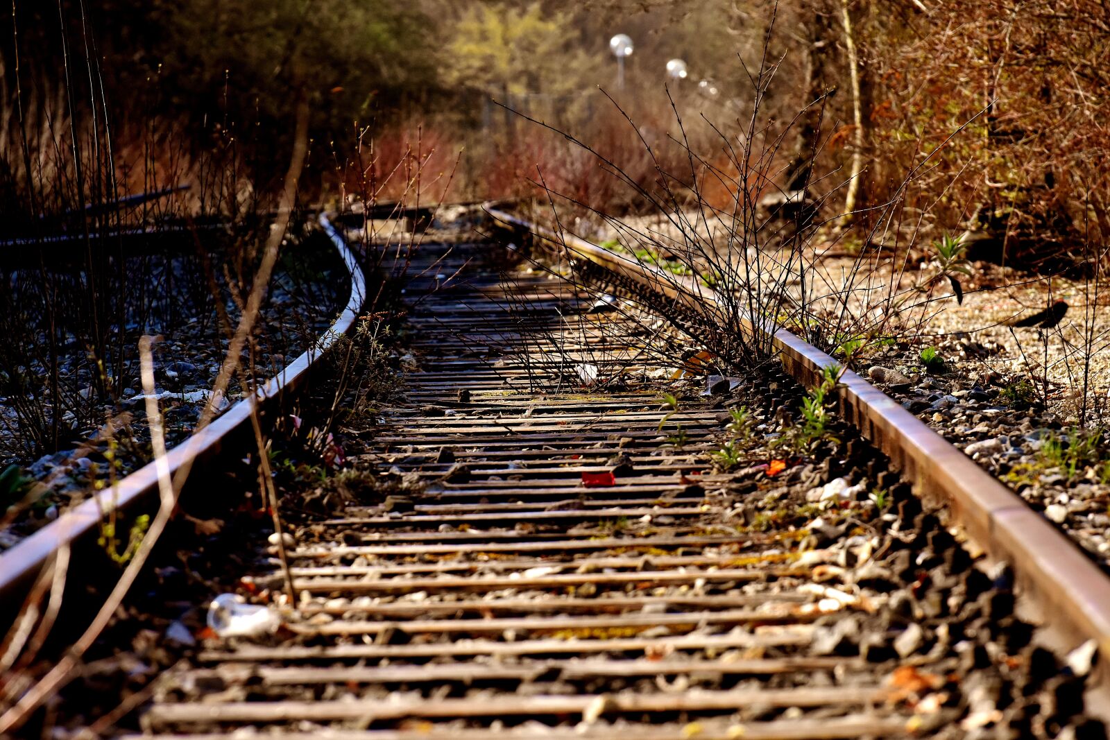 Nikon D7200 sample photo. Rails, old railroad tracks photography